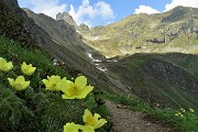 20 Valletto a sx e Ponteranica centrale a dx che vado a salire